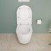 Унітаз підвісний VitrA Metropole Round QuaFlush 88-7910B403-0075 з сидінням Soft Close